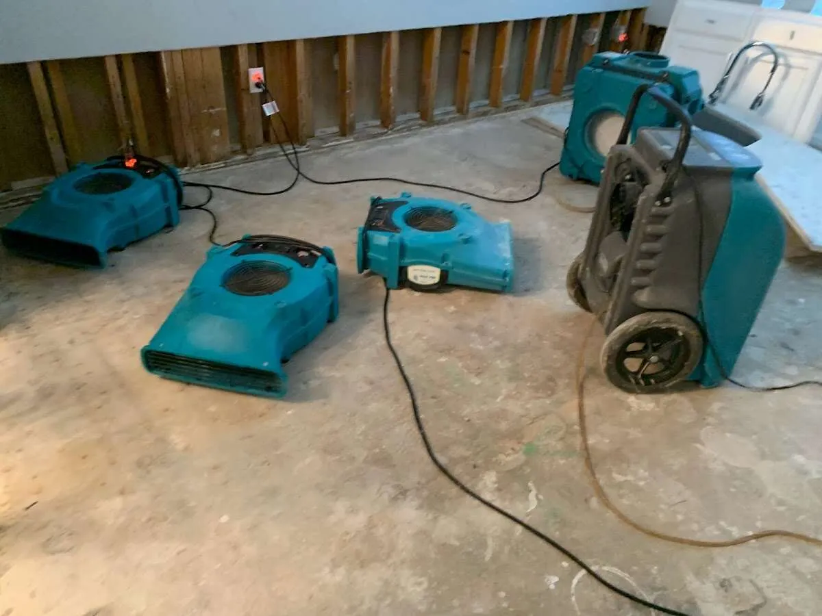 Water Damage Restoration services in Candlewick Lake, IL